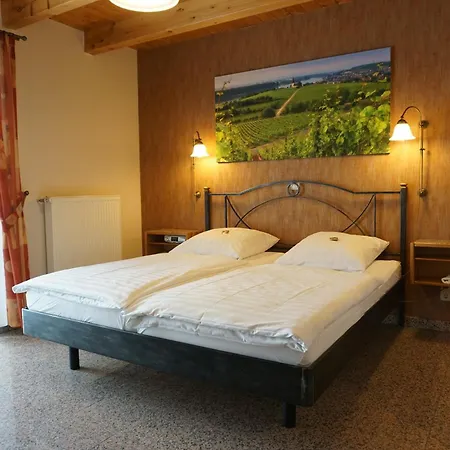 Weingut & Gaestehaus Julianenhof *